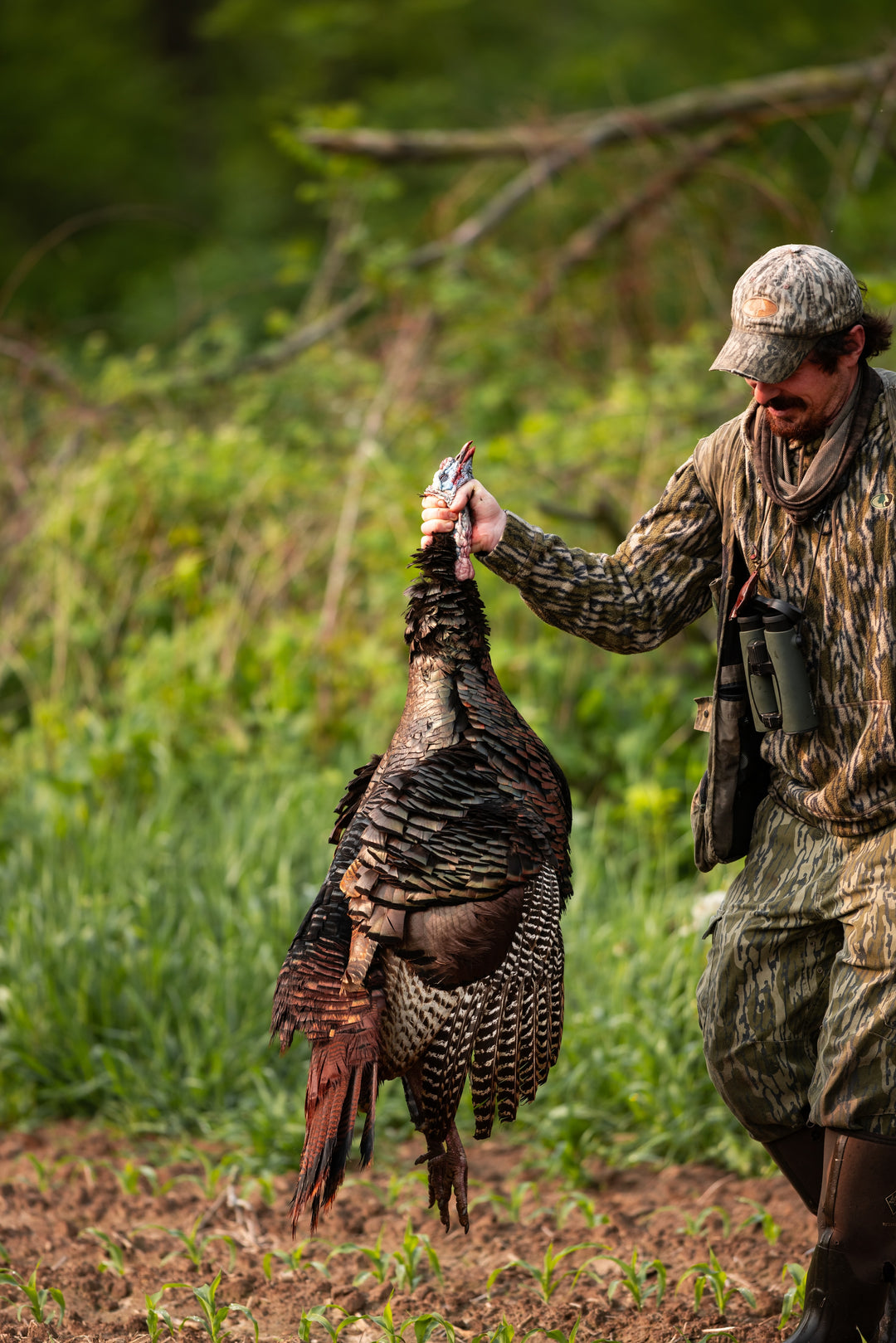 Trevor Bays, Chasing 49 Team Member
